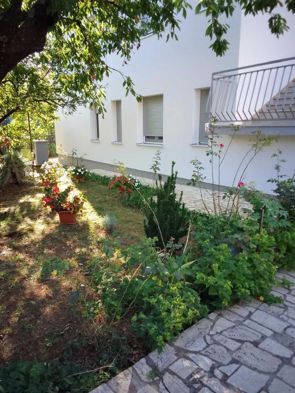 Grgurevic Apartman